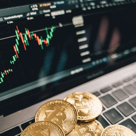 Wzrost Portfinex Zespół ekspertów ds. inwestycji kryptowalutowych